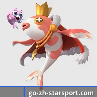 星空体育 APP(Starrysky Spor)